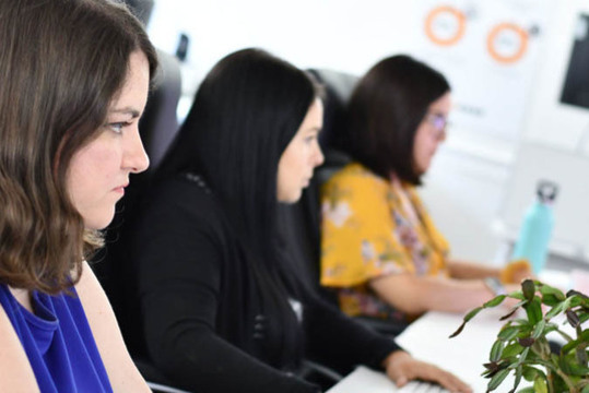 Three woman working on their computers, with a plant in the background